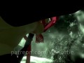 Red Riding Hood Face Rides You in Forest Waterfall Outdoor Nature Wet Pussy Scarf POV Lap Dance