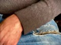 Male Solo Through Jeans