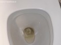 Closeup pee sitting sideways on the toilet