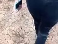 Caminando con MILF por la finca mostrando su cola al aire libre