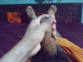 Jalando mi verga venuda