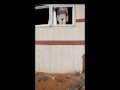 Lazy piss through my window for the neighbors to see