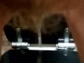 Peeing milf