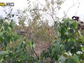 Egyptian Public Anal - short Anal video - ذهبت لكي ادرس معا صديقي المصري. شاهد ماذا علمني