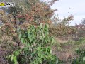 Egyptian Public Anal - short Anal video - ذهبت لكي ادرس معا صديقي المصري. شاهد ماذا علمني