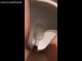 Closeup peeing compilation