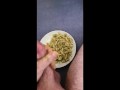 BLUE COLLAR JOHN FUCKS PASTA