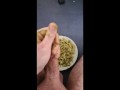 BLUE COLLAR JOHN FUCKS PASTA