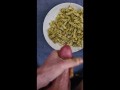 BLUE COLLAR JOHN FUCKS PASTA