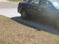 Part 2 naked in the front yard