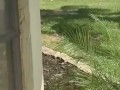 Part 2 naked in the front yard