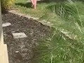 Part 2 naked in the front yard