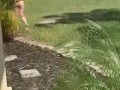 Part 2 naked in the front yard