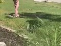 Part 2 naked in the front yard