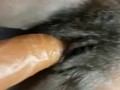 Hairy pussy Bouncing Fat ass and cunt on torso dildo! Fat Pussy!