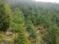 I walk by a Difficult path in the mountain's Forest for do something near the waterfall