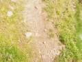 I walk by a Difficult path in the mountain's Forest for do something near the waterfall