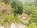 I walk by a Difficult path in the mountain's Forest for do something near the waterfall