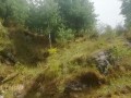 I walk by a Difficult path in the mountain's Forest for do something near the waterfall