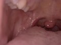 I Fantasize about Swallowing You (VORE Story Time) Mouth tour HQ - ASMR - EROTIC AUDIO