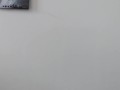 Demons Cat Bondage Blooper Reel