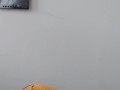 Demons Cat Bondage Blooper Reel