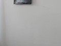 Demons Cat Bondage Blooper Reel