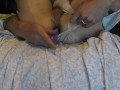 Pulsating anal orgasm with Zumio in ladies panties