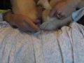 Pulsating anal orgasm with Zumio in ladies panties