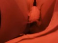 Good morning !!!