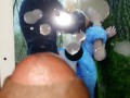 Hot Step Daughter's Ass Fucked in the Woods By Masked Strangers 