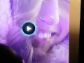Cute Gamer Babe Facial Cumshot AMONG US 