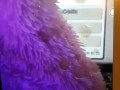 Cute Gamer Babe Facial Cumshot AMONG US 