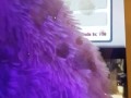 Cute Gamer Babe Facial Cumshot AMONG US 