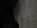 隠れておしっこ