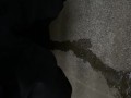 隠れておしっこ