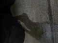隠れておしっこ
