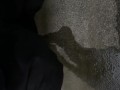 隠れておしっこ
