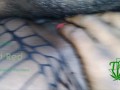 Tag Team Slim Petite Hot Fit Ebony Slut Taking Turns in Whore Pussy Bareback No Condom