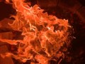 Pokemon Darkness Ablaze Pack Opening Massive Civilian Casualties