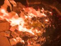Pokemon Darkness Ablaze Pack Opening Massive Civilian Casualties