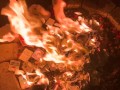 Pokemon Darkness Ablaze Pack Opening Massive Civilian Casualties
