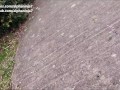 Water Station Risky Public Sex