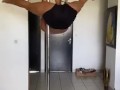 poldance 2