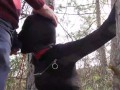 Tied to a tree on a sexy outfit, masked and outdoor deepthroat with no mercy