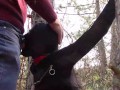 Tied to a tree on a sexy outfit, masked and outdoor deepthroat with no mercy