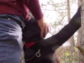 Tied to a tree on a sexy outfit, masked and outdoor deepthroat with no mercy