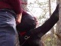 Tied to a tree on a sexy outfit, masked and outdoor deepthroat with no mercy