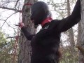Tied to a tree on a sexy outfit, masked and outdoor deepthroat with no mercy