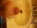 Big White Dick in bathroom masturbation